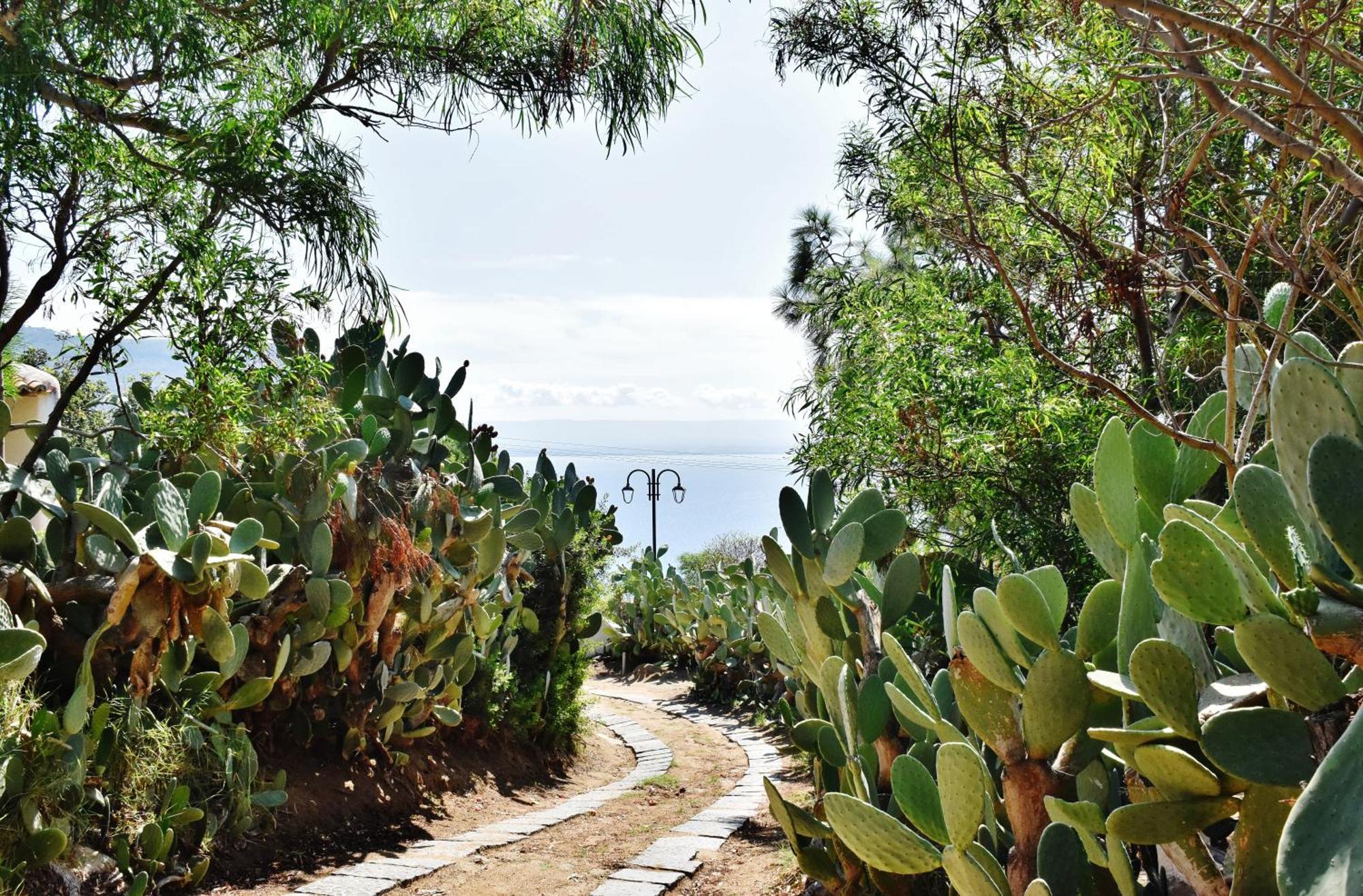 Calabria Beach Villa'S Capo Vaticano Bagian luar foto